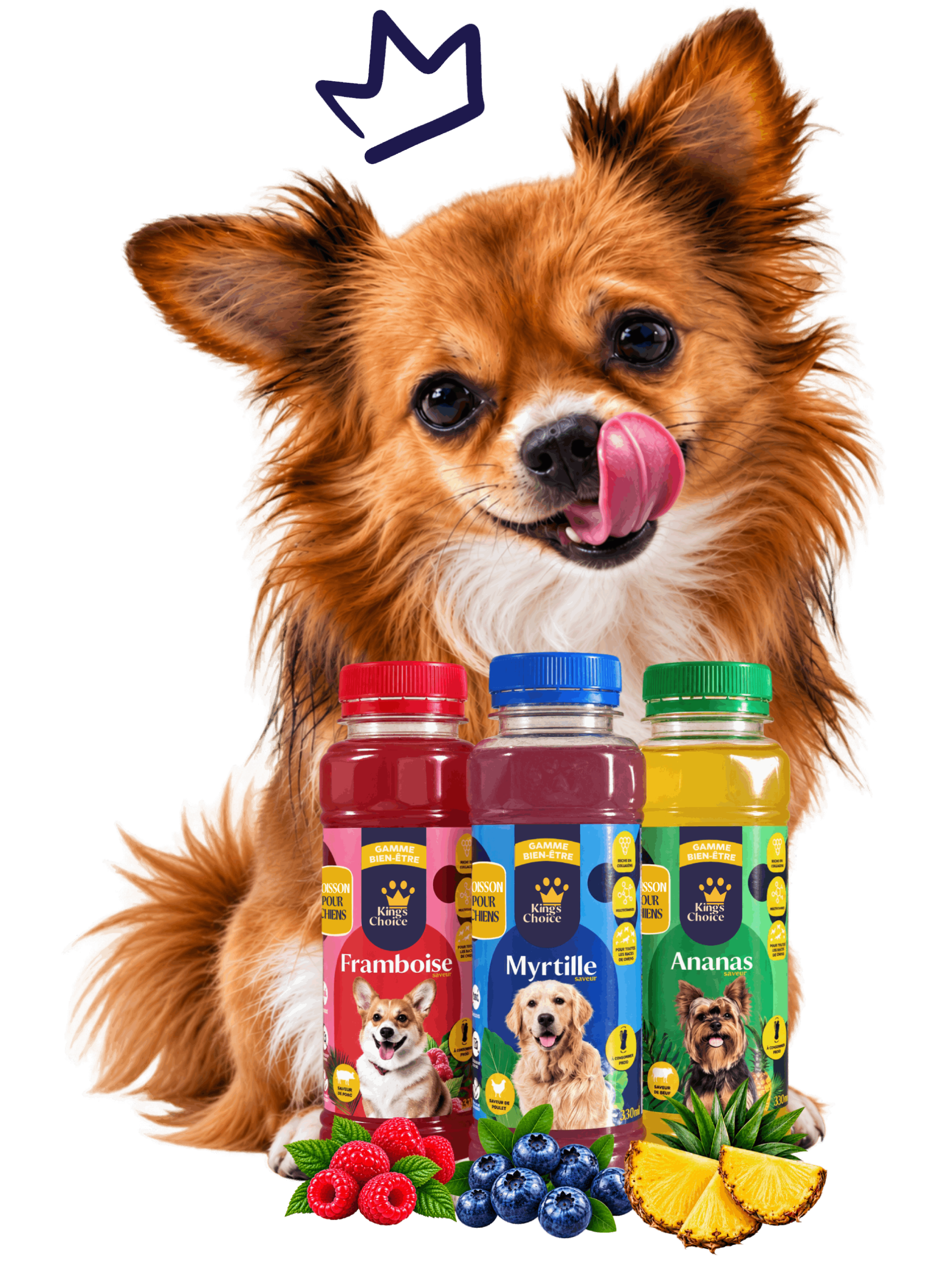 KING’S CHOICE – boisson pour chiens